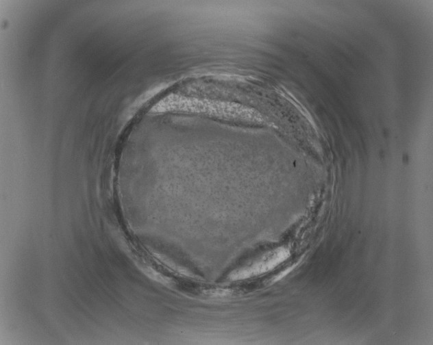 X0000081490301200702021929