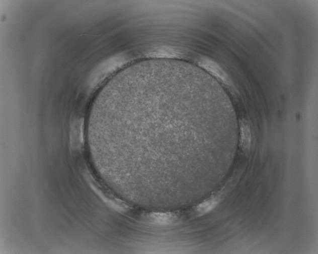 X0000081490302200702021929