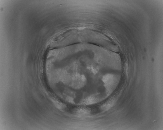 X0000081490303200702021929