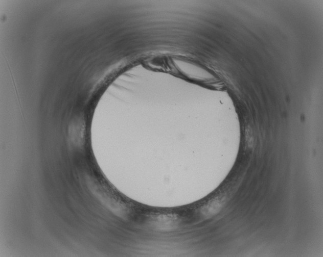 X0000081490304200702021929