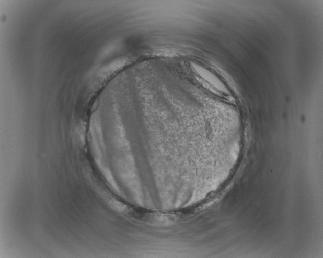 X0000081490305200702021929