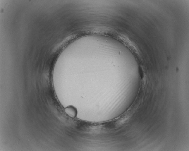 X0000081490306200702021929