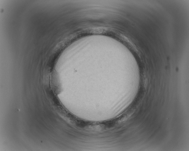 X0000081490307200702021929