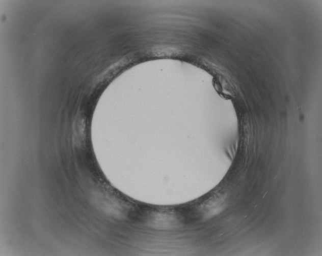 X0000081490308200702021929