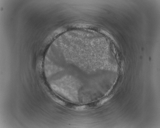 X0000081490309200702021929