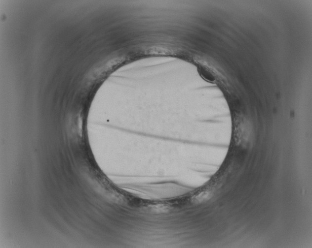 X0000081490310200702021929