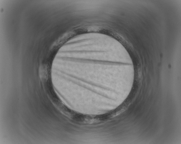 X0000081490311200702021929