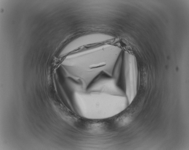 X0000081490312200702021929