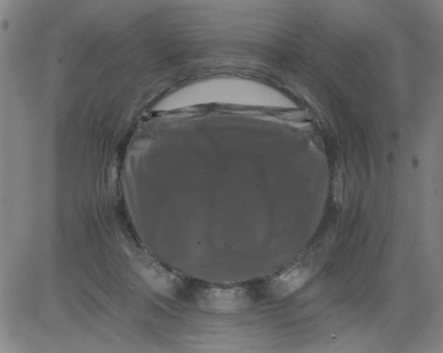 X0000081490314200702021929