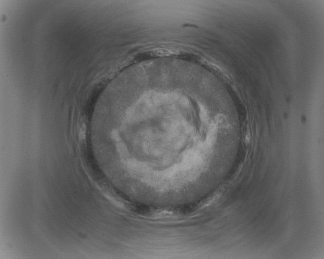 X0000081490315200702021929