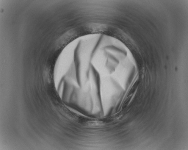 X0000081490316200702021929