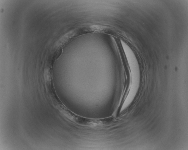 X0000081490317200702021929