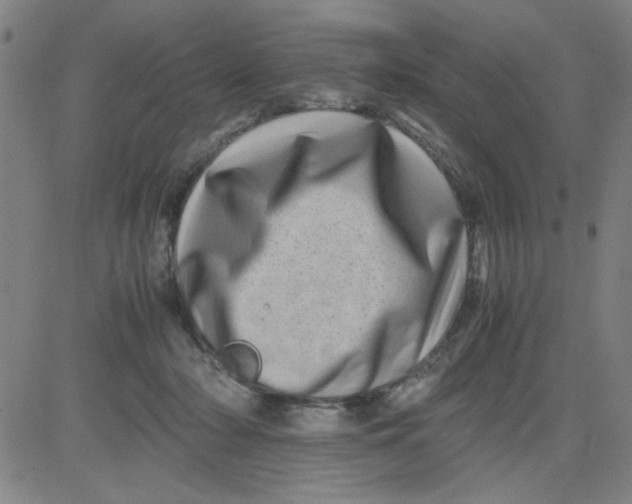 X0000081490318200702021929