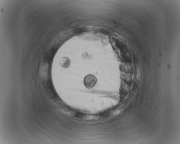 X0000081490319200702021929