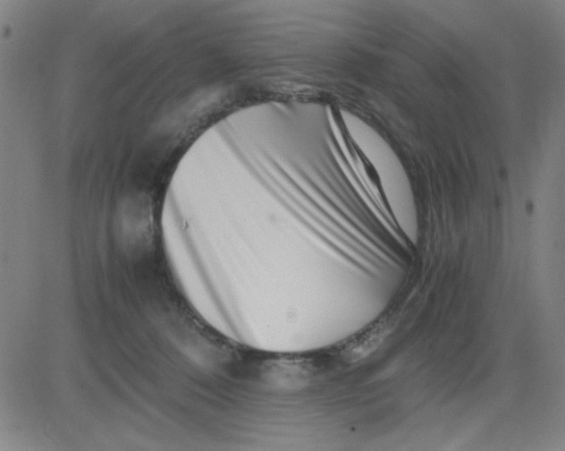 X0000081490320200702021929