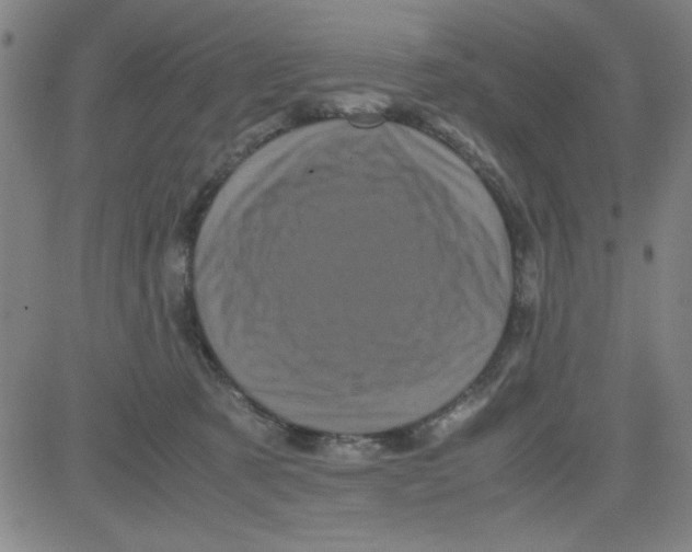 X0000081490321200702021929