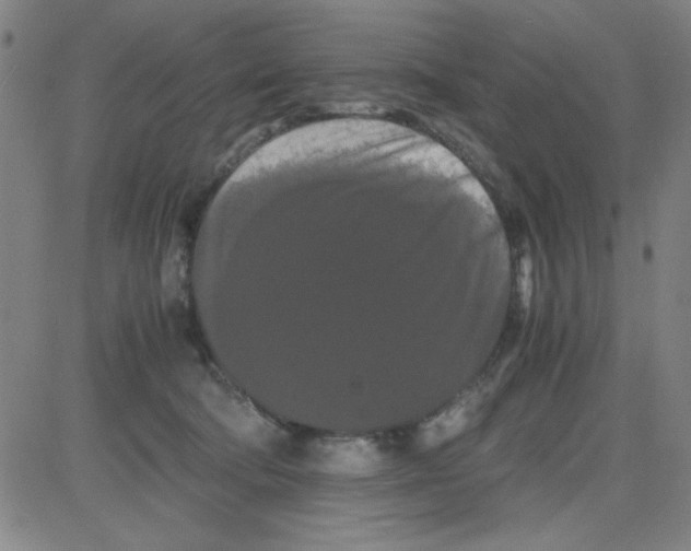 X0000081490322200702021929