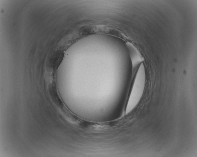 X0000081490323200702021929