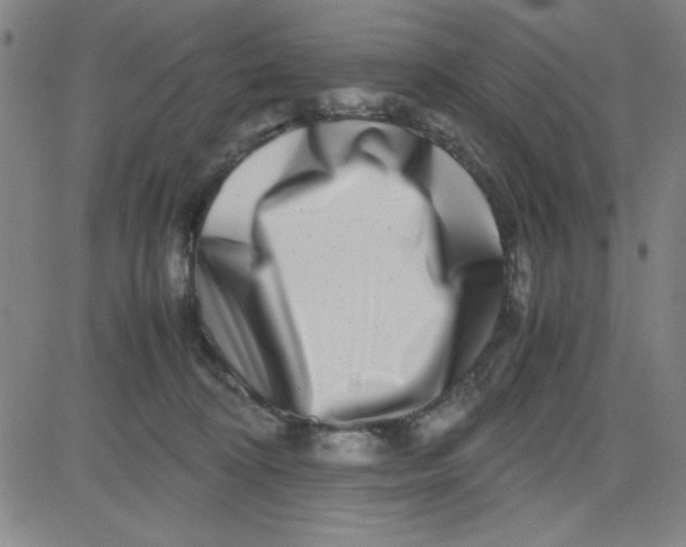 X0000081490324200702021929