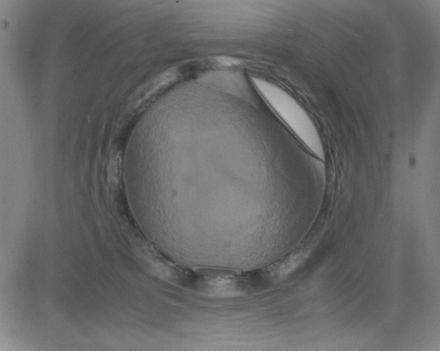 X0000081490325200702021929