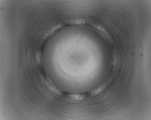 X0000081490326200702021929