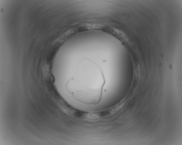 X0000081490327200702021929