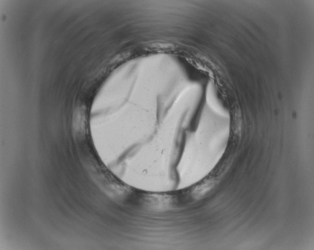 X0000081490328200702021929