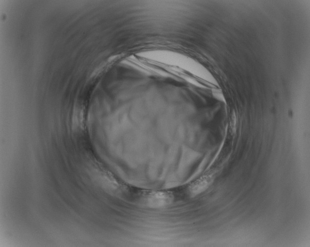 X0000081490330200702021929