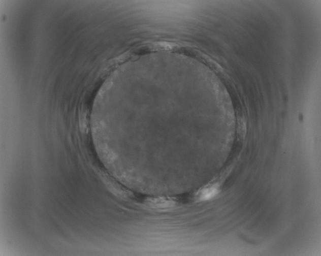 X0000081490331200702021929