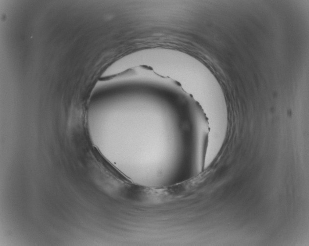 X0000081490333200702021929