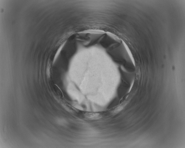 X0000081490334200702021929