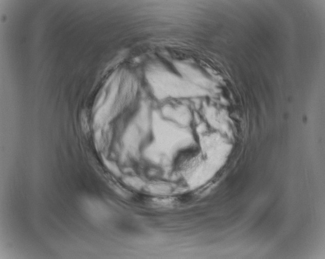 X0000081490335200702021929