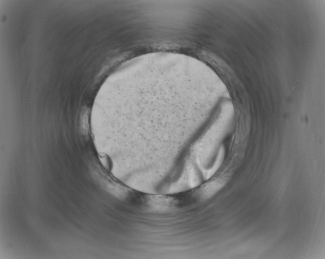 X0000081490336200702021929