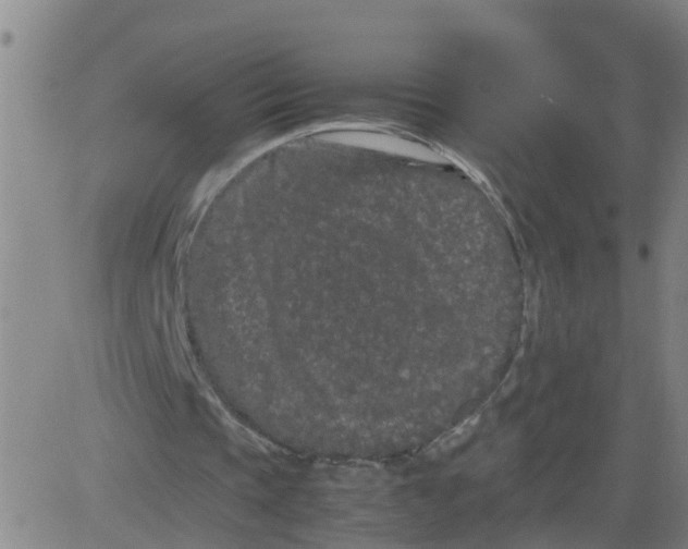 X0000081490337200702021928