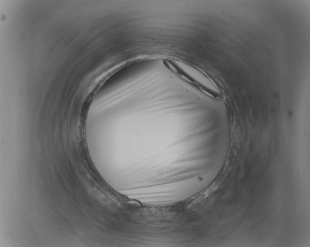 X0000081490338200702021928