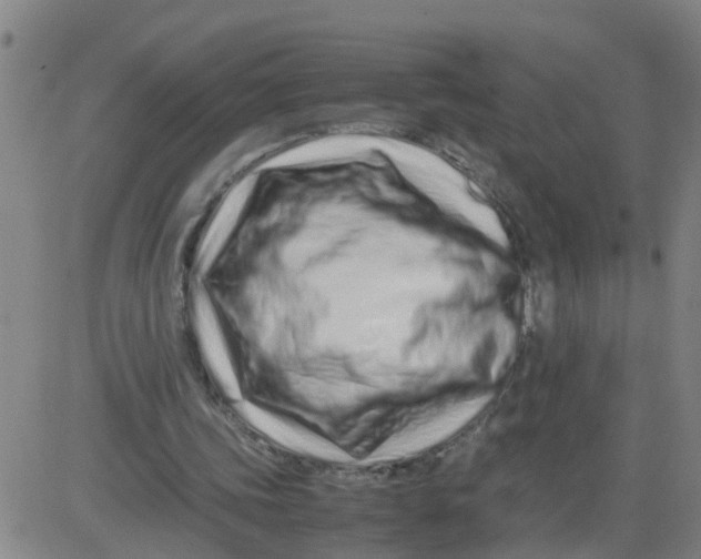 X0000081490339200702021928