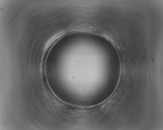 X0000081490340200702021928