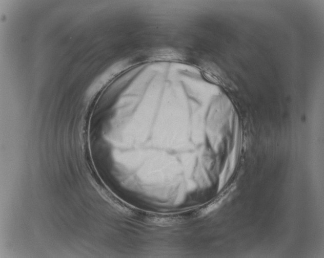 X0000081490341200702021928