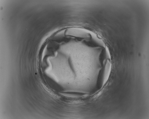 X0000081490342200702021928