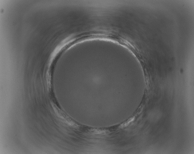 X0000081490343200702021928