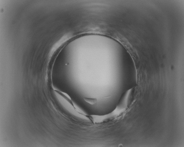 X0000081490344200702021928