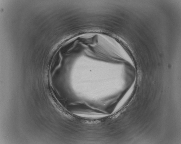 X0000081490345200702021928