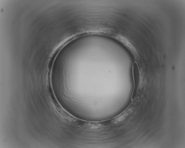 X0000081490346200702021928