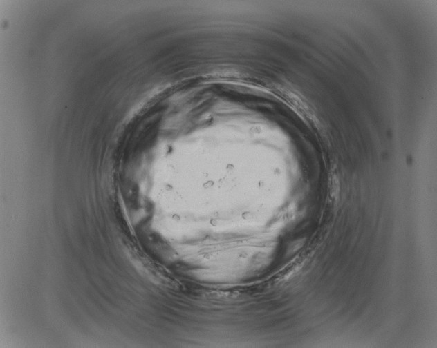 X0000081490347200702021928