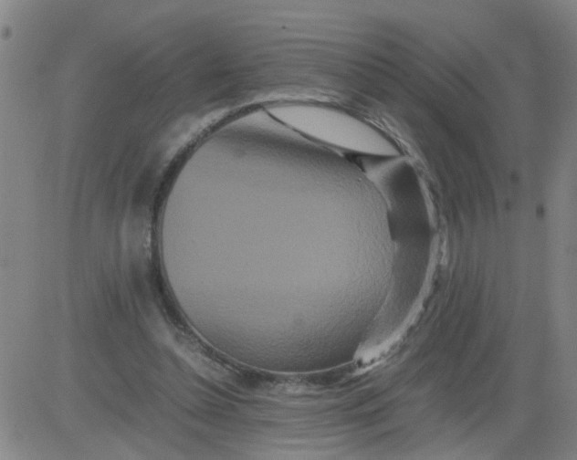 X0000081490348200702021928