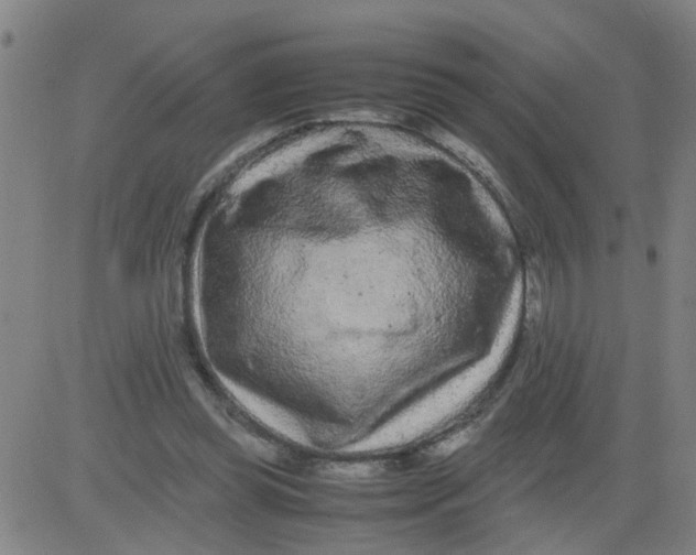 X0000081490349200702021928