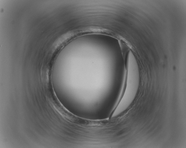 X0000081490350200702021928