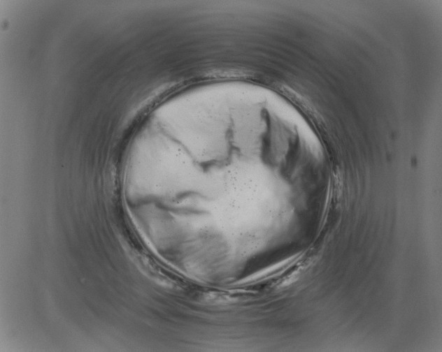 X0000081490351200702021928