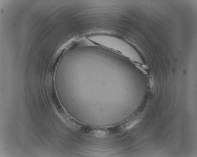 X0000081490352200702021928