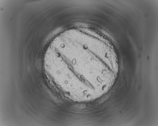 X0000081490353200702021928